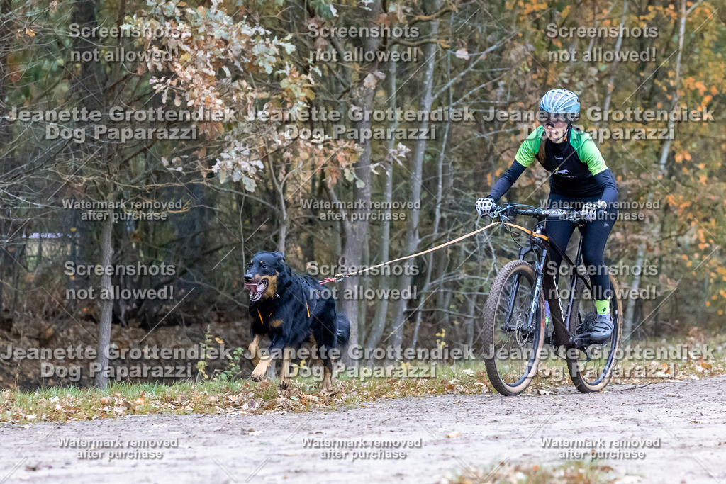 Dog Paparazzi - SD CaniX Championship 2025-247 | Dog Paparazzi Jeanette Grottendiek Fotografie & Videografie - Realisiert mit Pictrs.com