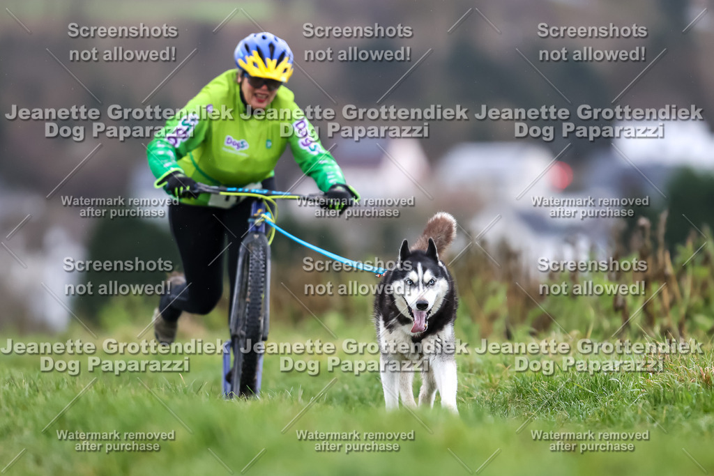 Dog Paparazzi - Herkules Race  2025-42 | Dog Paparazzi Jeanette Grottendiek Fotografie & Videografie - Realisiert mit Pictrs.com
