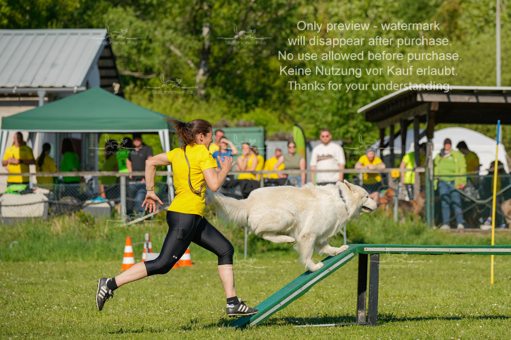 Sa_CSC-377 | stephaniefillaphotographie - Realisiert mit Pictrs.com