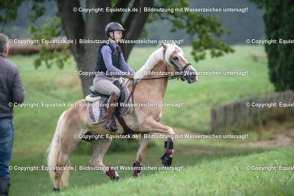 20250726_Vielseitigkeitslehrgang-Marbach_0079 | Foto: Thomas Hartig