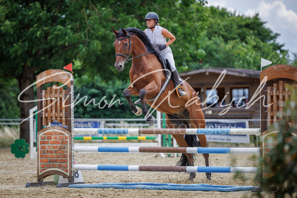 20260705-_3LI6157 | Tierfotografie Pferde, Hunde, Katzen, Haustiere.
Turnierfotografie Reitturniere, Reiten, Springreiten, Dressur in Hanau, dem Main-Kinzig-Kreis und dem Rhein-Main- Gebiet um Frankfurt
