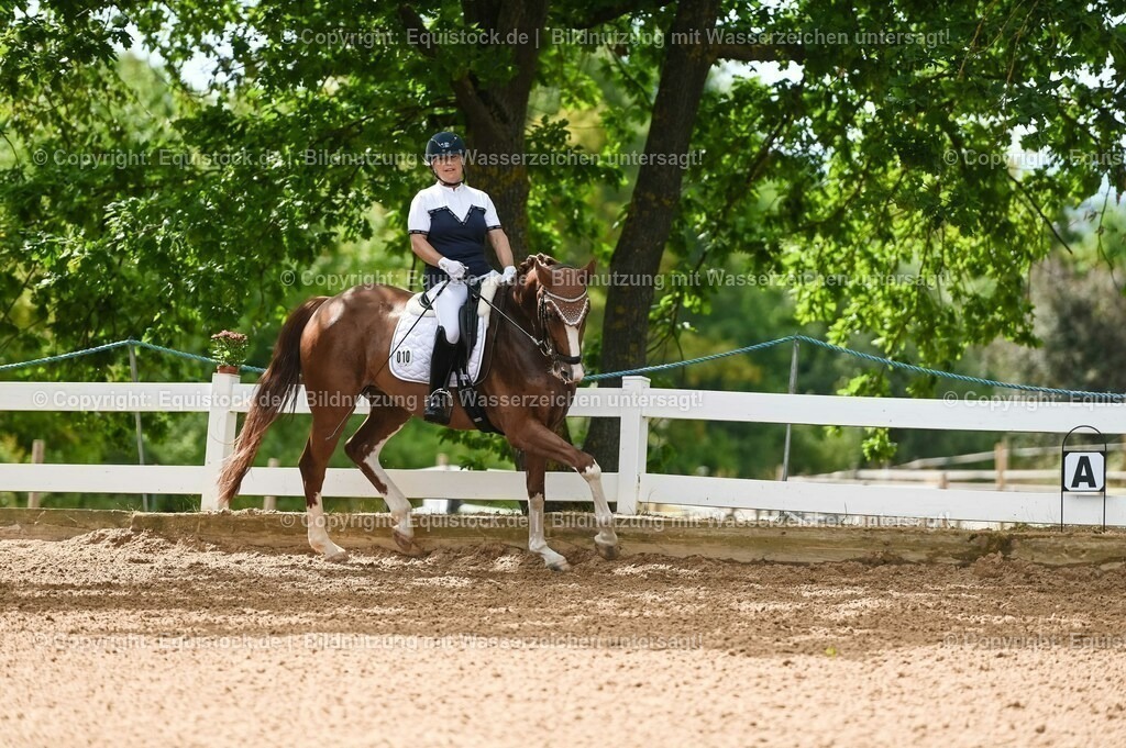 20230715_07_Dressurpferdeprfg. Kl.L_0018 | equistock