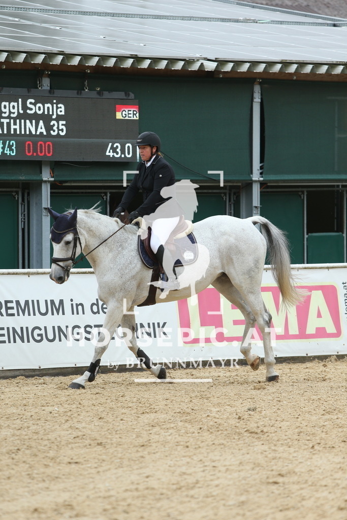DL2Q1001 | Willkommen bei Brunnmayr - Design & Fotografie – Ihrem Spezialisten für Reitturniere und Pferdeveranstaltungen in Oberösterreich, Salzburg und Bayern! Seit über 17 Jahren sind wir leidenschaftlich dabei.