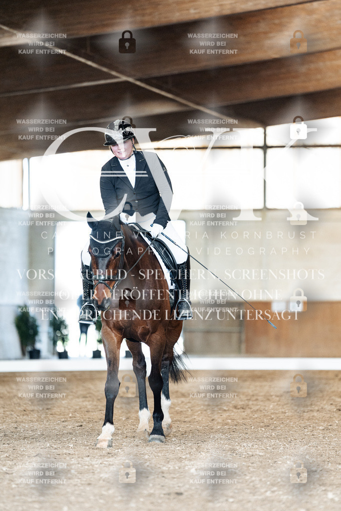 CK901656 | Turnierfotografie Pferdefotografie Trier Rheinland-Pfalz Pferdesport Reitsport Tierfotografie Sportfotografie Pferdevideo Pferdevideografie Equestrianvideography equestrianphotography  - Realized with Pictrs.com
