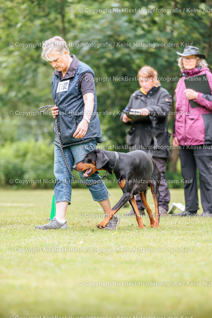 RO-Blumenthal-2026-Nickbest-Hundefotografie-5249 | Dein Hund! Dein Moment! Deine Erinnerungen! Hundefotografie in Bremen Blumenthal. Ich fange die besonderen Momente deines Vierbeiners ein – ob Indoor mit Blitzanlage oder in der freien Natur. Sicher dir dein Moment und dein Termin für eure Erinnerungen.