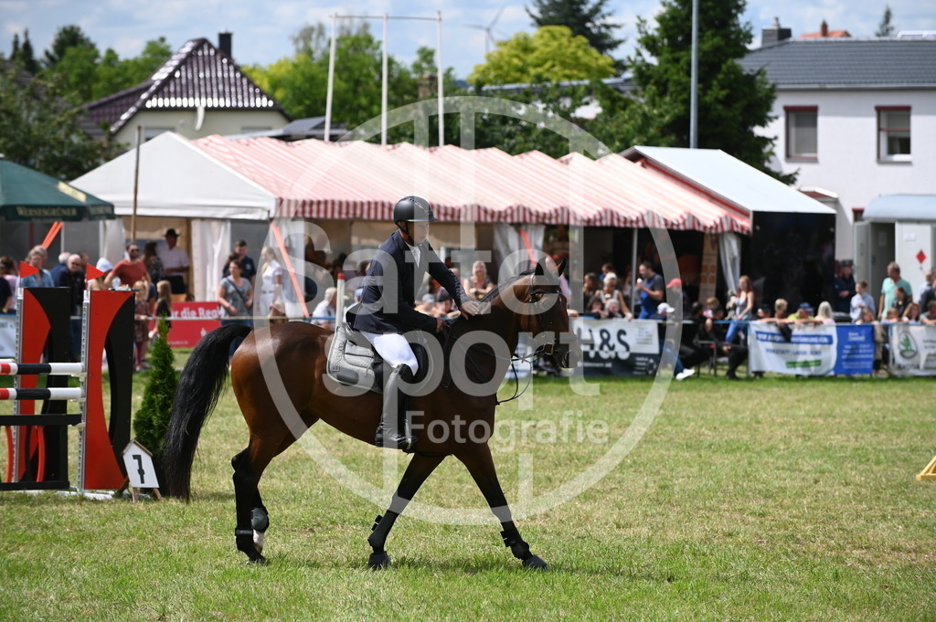 DSC_7087 | sattelsport - Realisiert mit Pictrs.com