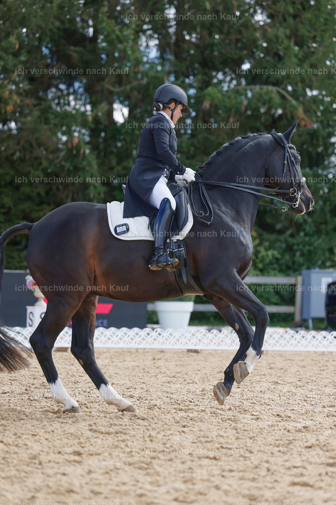 09_2-183-DRESSUR  S_  -StoibPH-5904 | working equitationturnier fotograf videograf stoibphotography marixx film working equitation deutschland reitsport turnierfotografie eventfotografie equestrian events