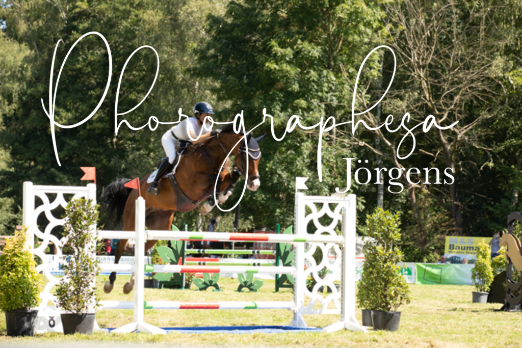 IMG_9159 | photographesa-joergens - Realisiert mit Pictrs.com