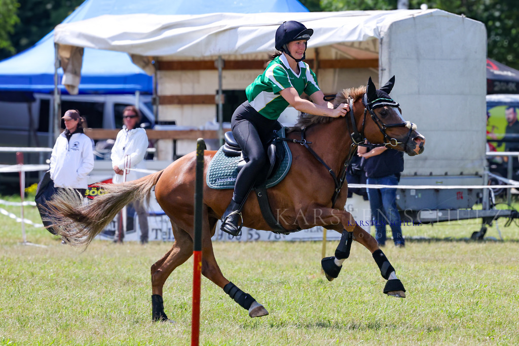 IMG_1583 | Reitsport Reiten