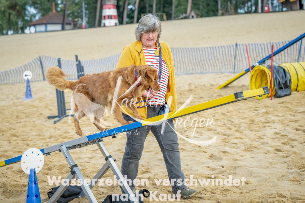 0911_ZZ92017-Bearbeitet | kk-dogfotos