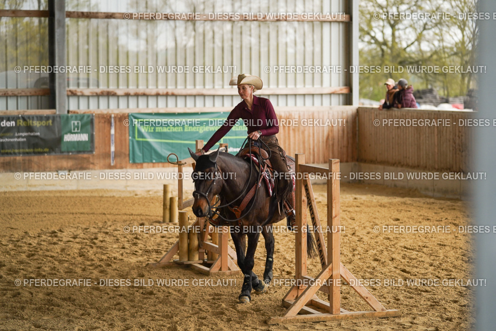 DSC03683 | Pferdegrafie