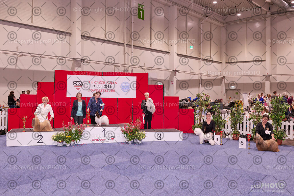 202406_ÖKV-IHA-Tulln24_NZ9_9570 | proPHOTO - Realisiert mit Pictrs.com