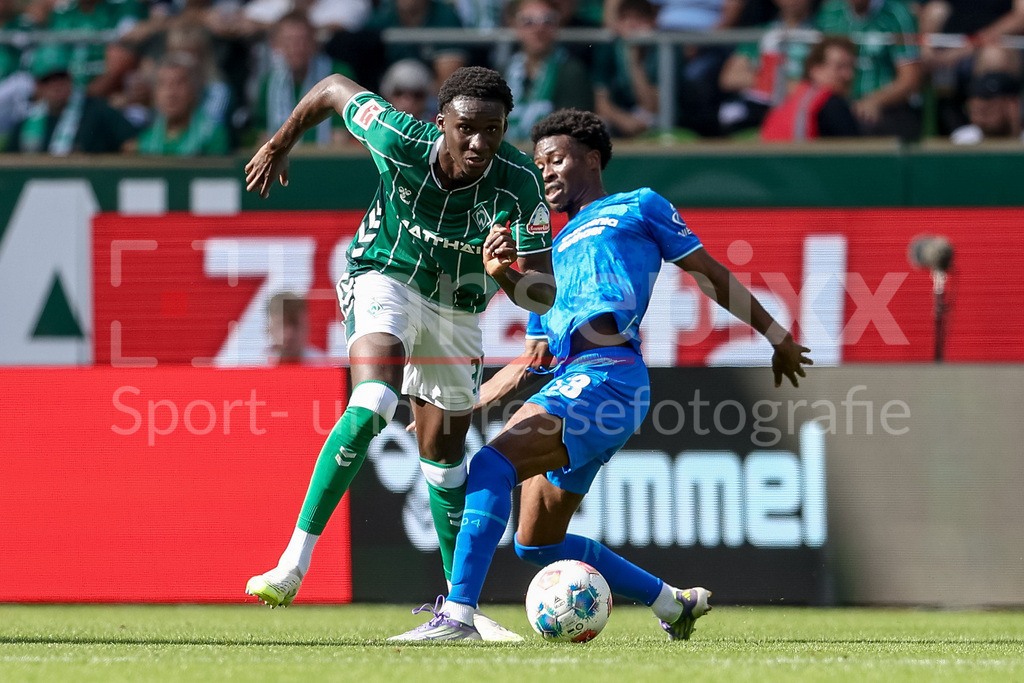 Fussball, Bundesliga, SV Werder Bremen - Bayer 04 Leverkusen | v.li.: Karim Coulibaly (SV Werder Bremen, 31) und Nathan Tella (Bayer 04 Leverkusen, 23) im Zweikampf, Duell, Dynamik, Aktion, Action, Spielszene, DIE DFL-RICHTLINIEN UNTERSAGEN JEGLICHE NUTZUNG VON FOTOS ALS SEQUENZBILDER UND/ODER VIDEOÄHNLICHE FOTOSTRECKEN. DFL REGULATIONS PROHIBIT ANY USE OF PHOTOGRAPHS AS IMAGE SEQUENCES AND/OR QUASI-VIDEO.