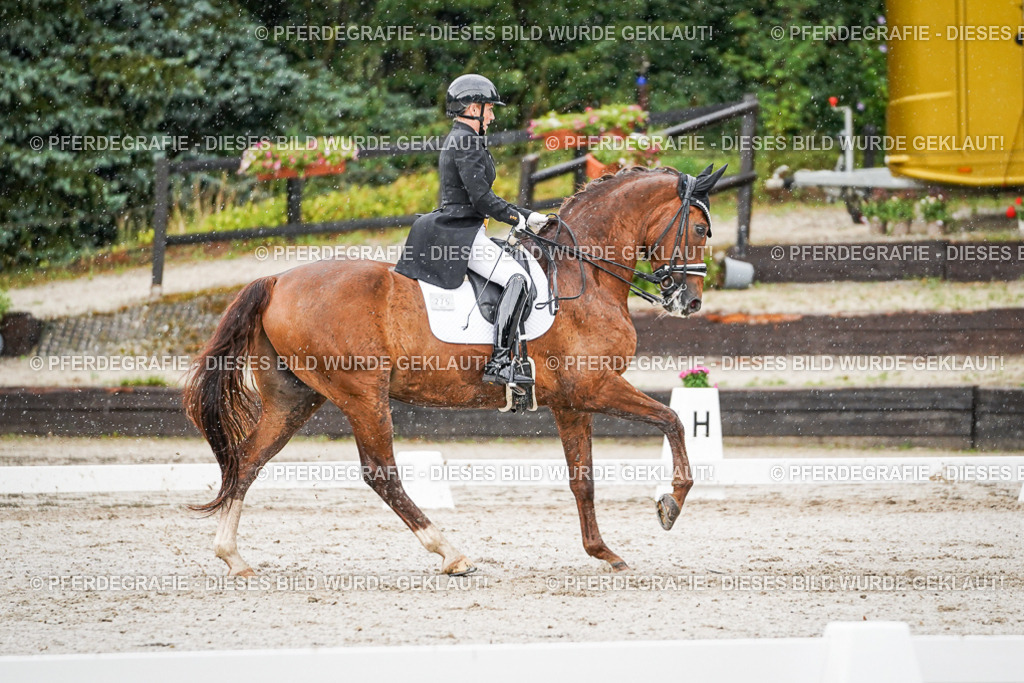 DSC09093 | Pferdegrafie