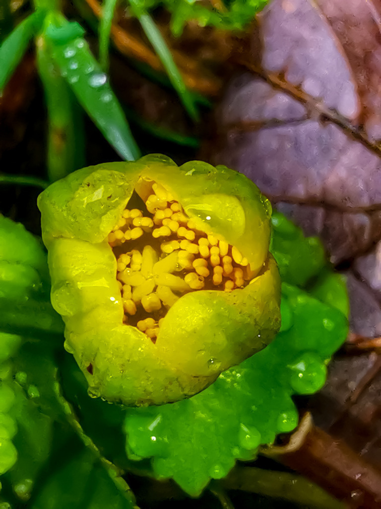 PSX_20230326_224838 | mtkfoto_ - Realisiert mit Pictrs.com