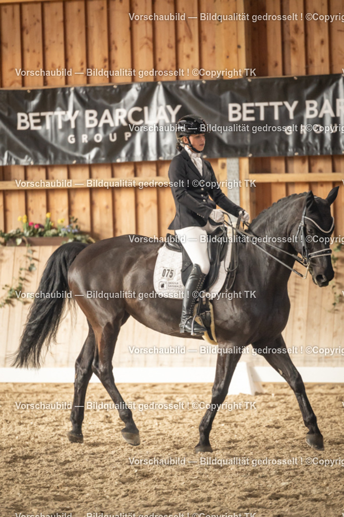 _D5A3156 | Emotionale Pferde- & People-Fotografie rund um Heidelberg, Leimen & Umgebung. Natürliche Fotos von Pferd, Mensch & Familie. Jetzt Termin sichern!