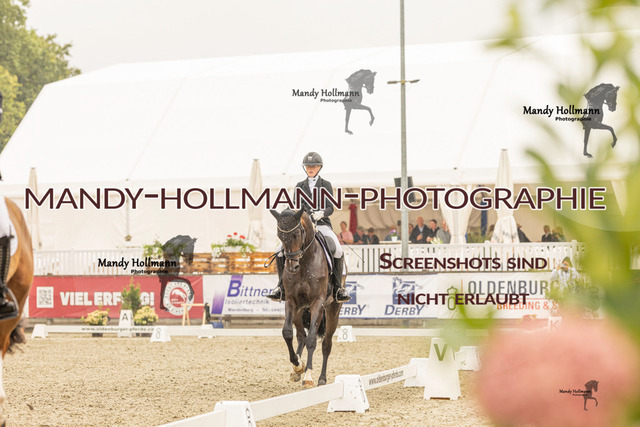 SW 4-885 | mandyhollmannphotographie