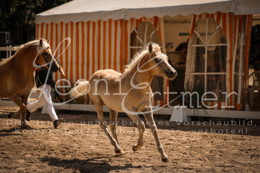 06.DoH00109 | Leoni Ertmer Photography - Realisiert mit Pictrs.com