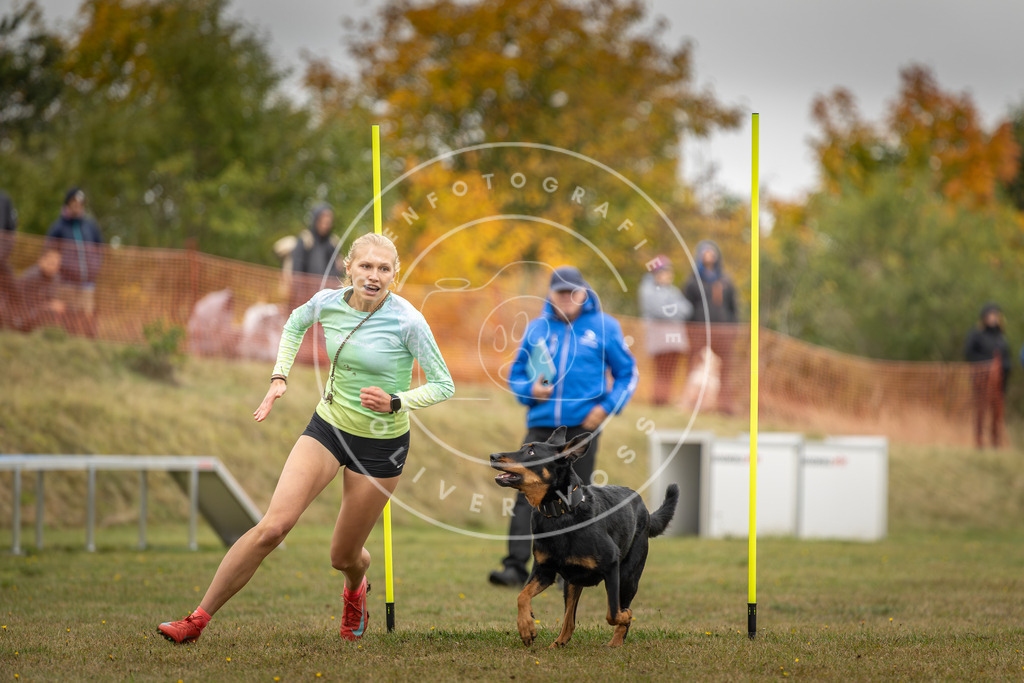 Pfotenfotografie_DV3A4157 | Hundefotografie, Tierfotograf, Pfotenfotografie, Fotoshooting Hund, Hunde Portrait, Hundesport, Hundeportraits, Heideshooting, Hunde, Sportfotograf, Hundefotograf, Turnierhundsport, THS,  - Realisiert mit Pictrs.com