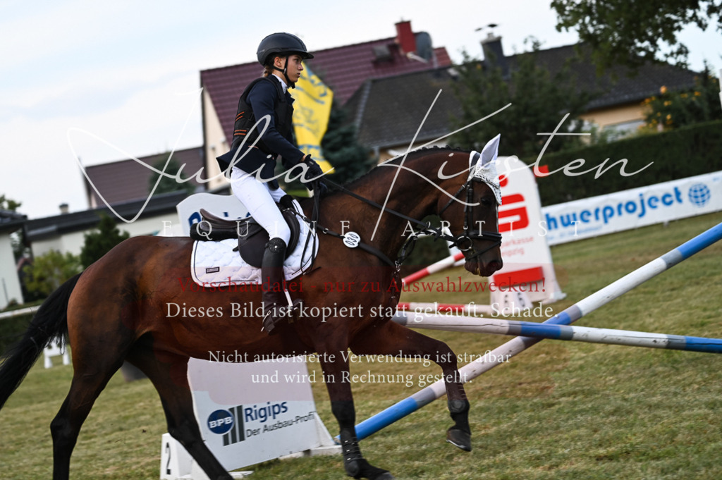 DSC_5660 | Pferde- und Turnierfotografie in Westsachsen. Pferdeportraits, Auftragszeichnungen und intuitive Kunst.