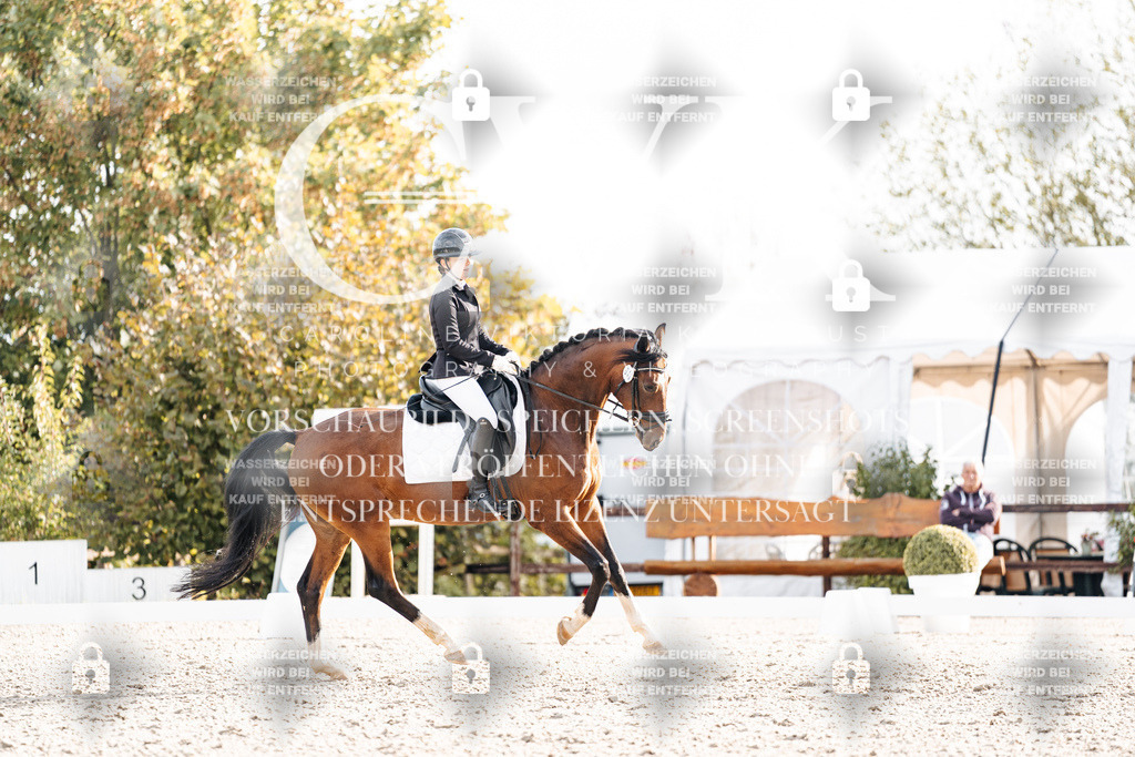 CK900928 | Turnierfotografie Pferdefotografie Trier Rheinland-Pfalz Pferdesport Reitsport Tierfotografie Sportfotografie Pferdevideo Pferdevideografie Equestrianvideography equestrianphotography  - Realisiert mit Pictrs.com