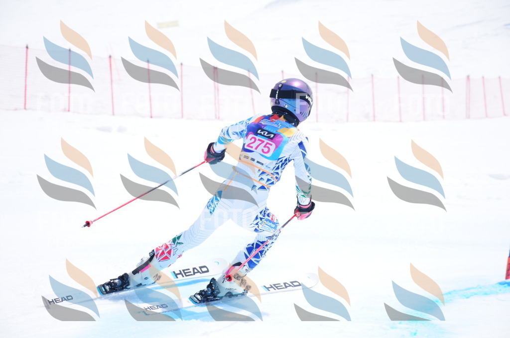 DSC_6452 | holidayphoto