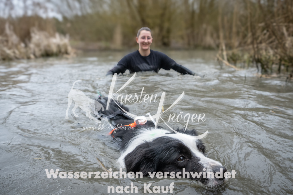 1039_ZZ91847 | kk-dogfotos