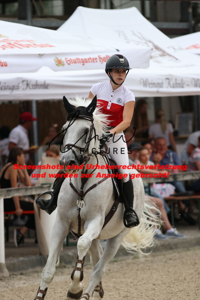 IMG_2991 | lmwpictures - Realisiert mit Pictrs.com