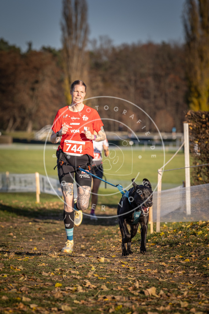 CaniXpix_DV3A2279 | Hundefotografie, Tierfotograf, Pfotenfotografie, Fotoshooting Hund, Hunde Portrait, Hundesport, Hundeportraits, Heideshooting, Hunde, Sportfotograf, Hundefotograf, Turnierhundsport, THS,  - Realisiert mit Pictrs.com