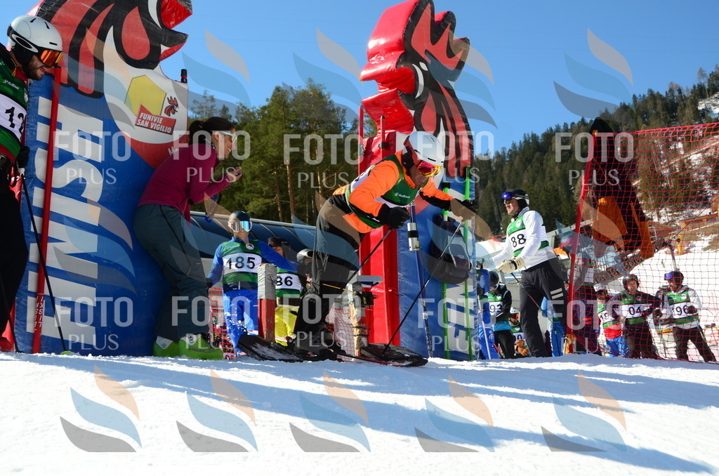 C6433 | holidayphoto