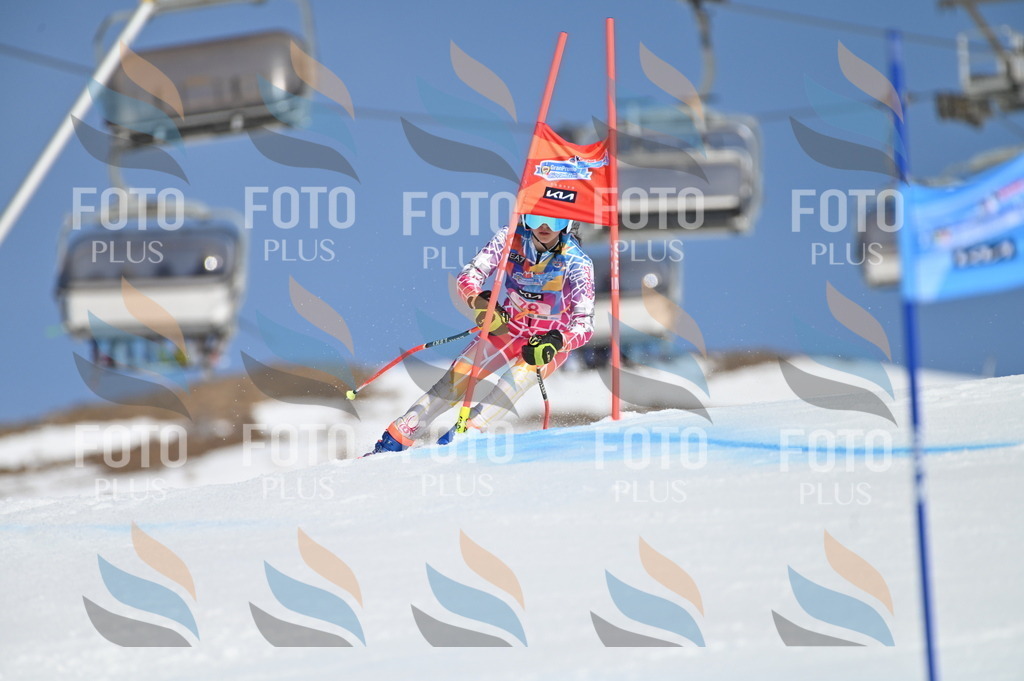 BGV_9023 | holidayphoto