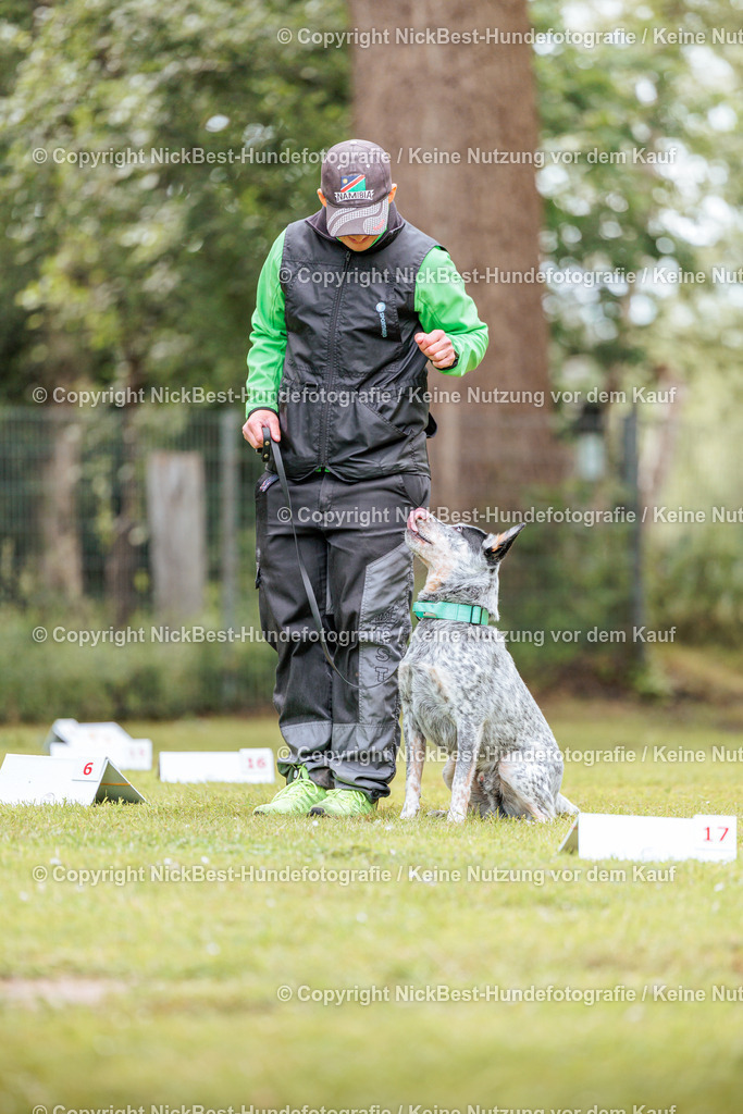 RO-Blumenthal-2026-Nickbest-Hundefotografie-5355 | Dein Hund! Dein Moment! Deine Erinnerungen! Hundefotografie in Bremen Blumenthal. Ich fange die besonderen Momente deines Vierbeiners ein – ob Indoor mit Blitzanlage oder in der freien Natur. Sicher dir dein Moment und dein Termin für eure Erinnerungen.