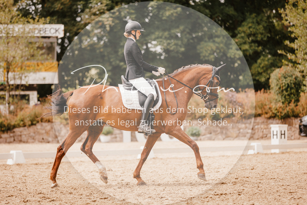 3I6A6206 | Stimmungsvolle Portraits und Reitsportfotografie im Ruhrgebiet und im Münsterland.

Pferdefotografie, Hundefotografie, Tierfotografie, Reportagen, Portraits von Tier und Mensch, Turnierfotografie in Bochum, Recklinghausen, Marl, Haltern am See, Dülmen.. - Realisiert mit Pictrs.com