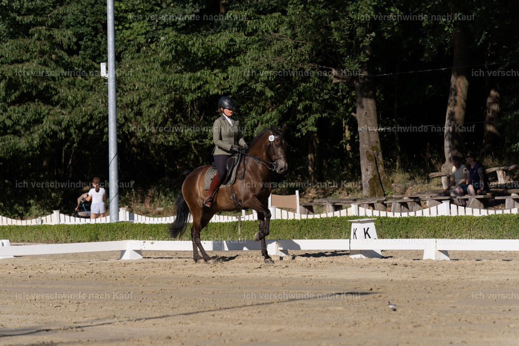 WM_DR_131_sinafilmart_IN04407 | working equitationturnier fotograf videograf stoibphotography marixx film working equitation deutschland reitsport turnierfotografie eventfotografie equestrian events
