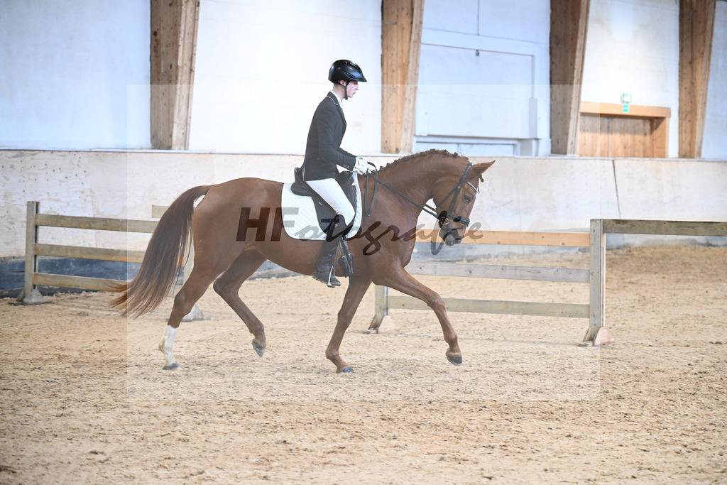 Kat-Nr. 10 Weissenas Valentina v. Va Bene_Eder_50250382 | hf-fotografie - Realisiert mit Pictrs.com