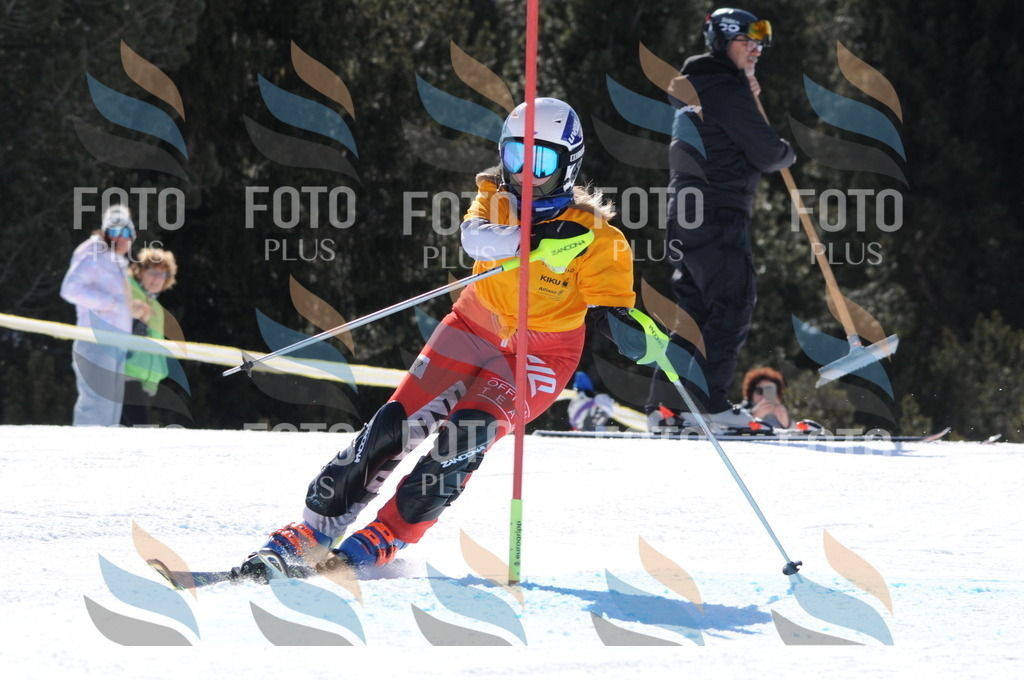 C8904 | holidayphoto