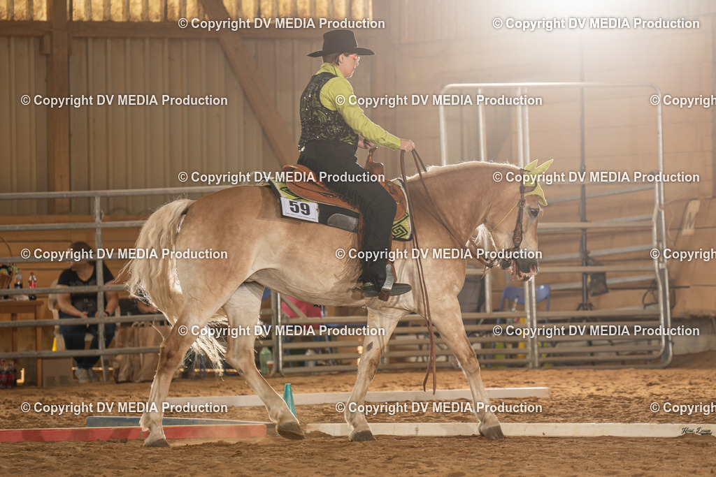 NID02779 | dv-media-shop - Realisiert mit Pictrs.com