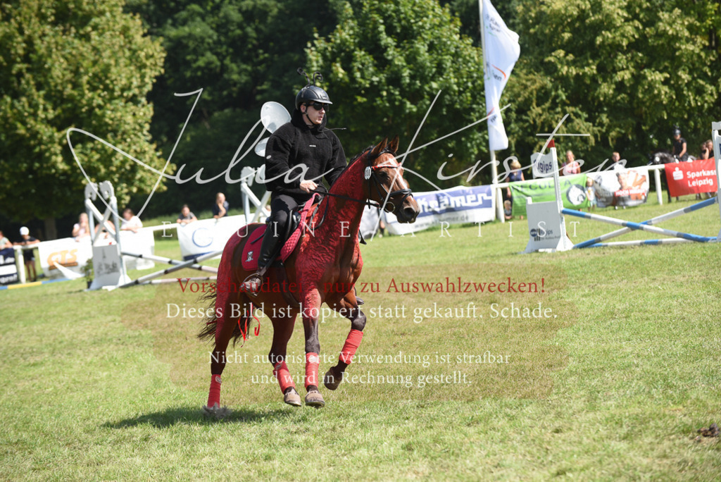 DSC_0200 | Pferde- und Turnierfotografie in Westsachsen. Pferdeportraits, Auftragszeichnungen und intuitive Kunst.