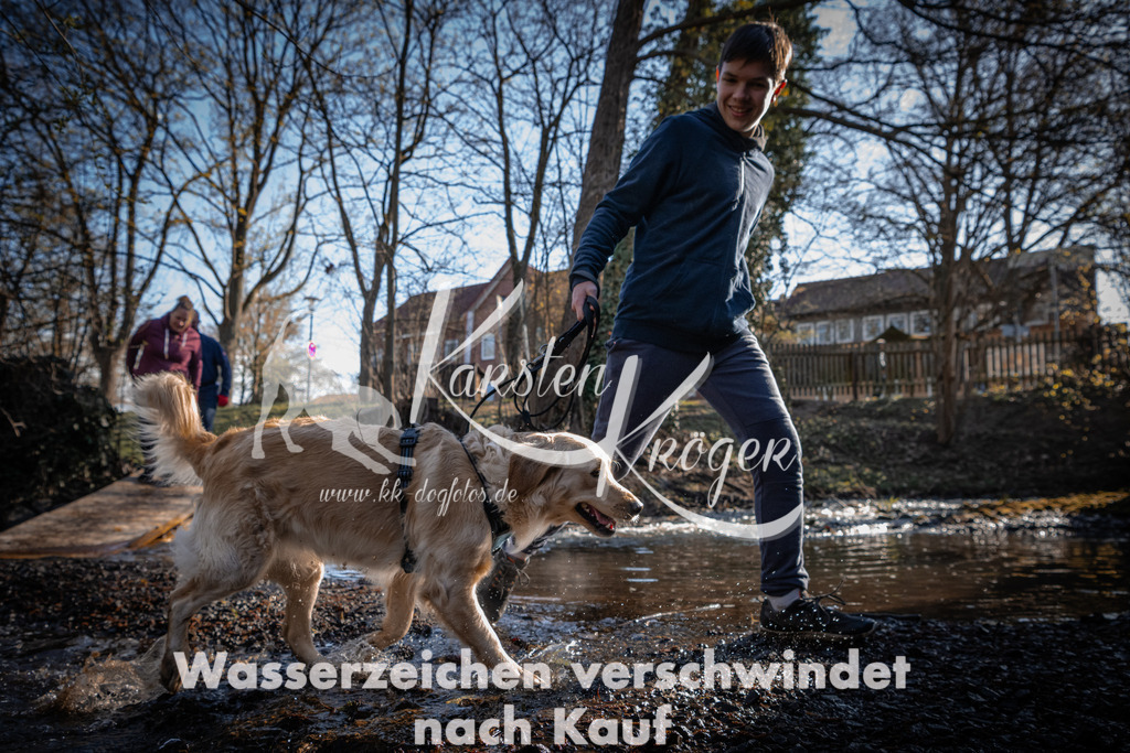 0829_ZZ91731 | kk-dogfotos