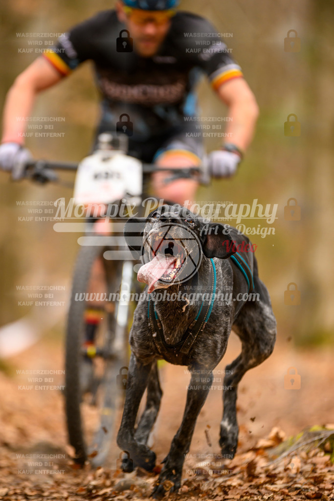 MompixPhotography_Habay2025_SA_Bike-148 | mompixphotography