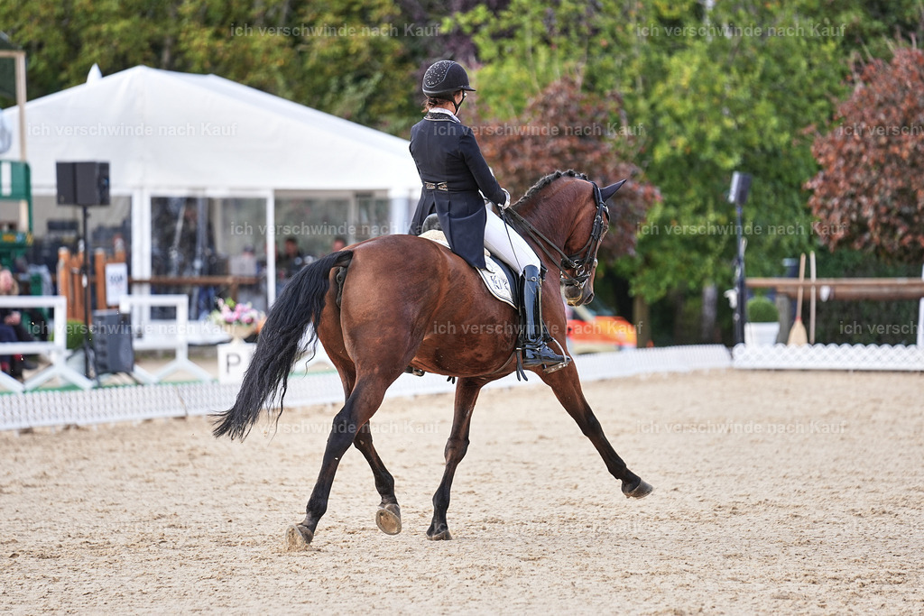 13-072-S___ -Marixx-7064 | working equitationturnier fotograf videograf stoibphotography marixx film working equitation deutschland reitsport turnierfotografie eventfotografie equestrian events