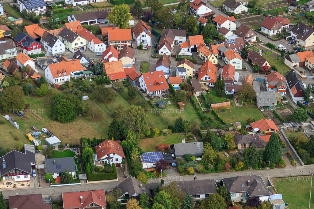 Luftbild: Im Leisengarten in Minfeld im Bundesland Rheinland-Pfalz in Deutschland. Foto: IMG_22571.jpg vom 15.10.2009 durch Werner Riehm/FLY-FOTO.de