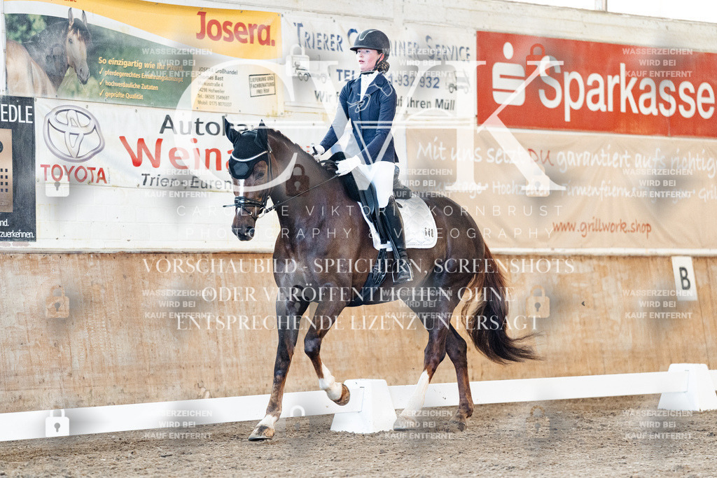 CK906877 | Turnierfotografie Pferdefotografie Trier Rheinland-Pfalz Pferdesport Reitsport Tierfotografie Sportfotografie Pferdevideo Pferdevideografie Equestrianvideography equestrianphotography  - Realized with Pictrs.com