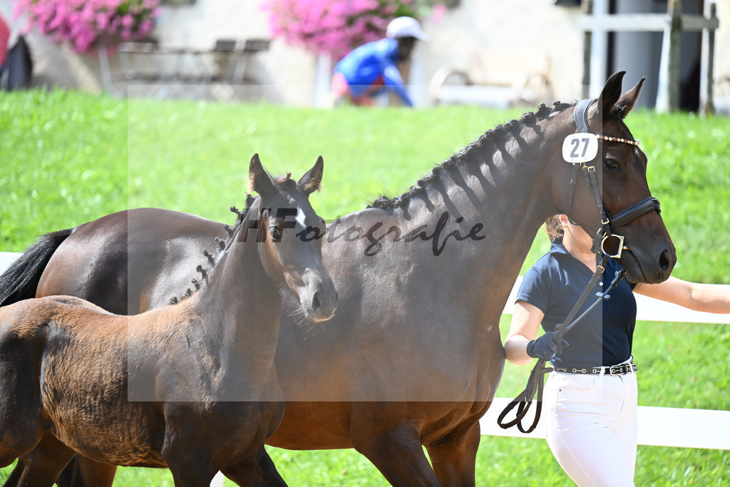 Kat-Nr. 27 Ironman Black M x Van Vivaldi_Wollitz_27140912 | hf-fotografie - Realisiert mit Pictrs.com