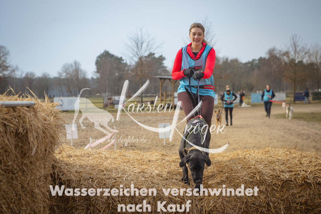 1016_ZZ93152 | kk-dogfotos