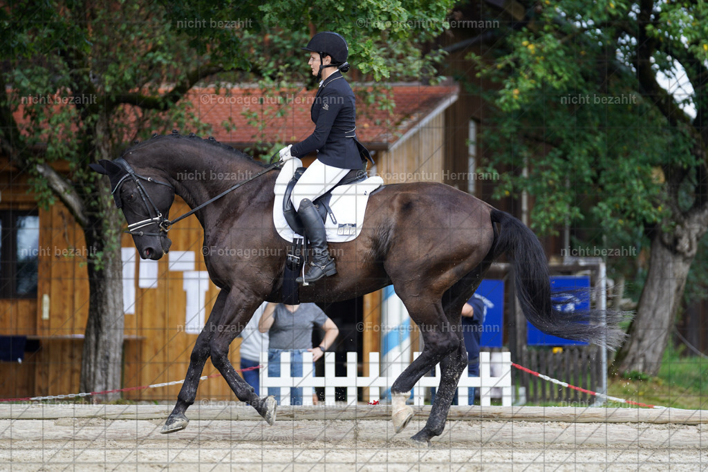 20230826-FAH05445 | Forstinning, 2023, Dressurturnier, Turniersportbilder, Turnierfotografen Bayern, Fotoagentur Herrmann, Reitsportfotografie, Turnierbilder