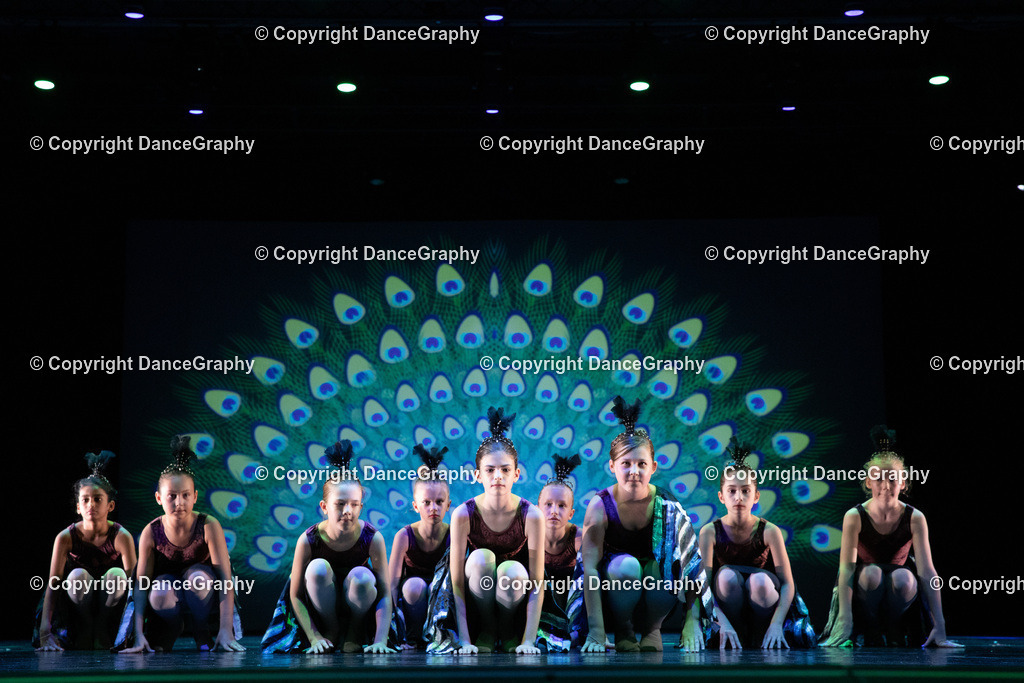 GPHY6149 | DanceGraphy - Realisiert mit Pictrs.com