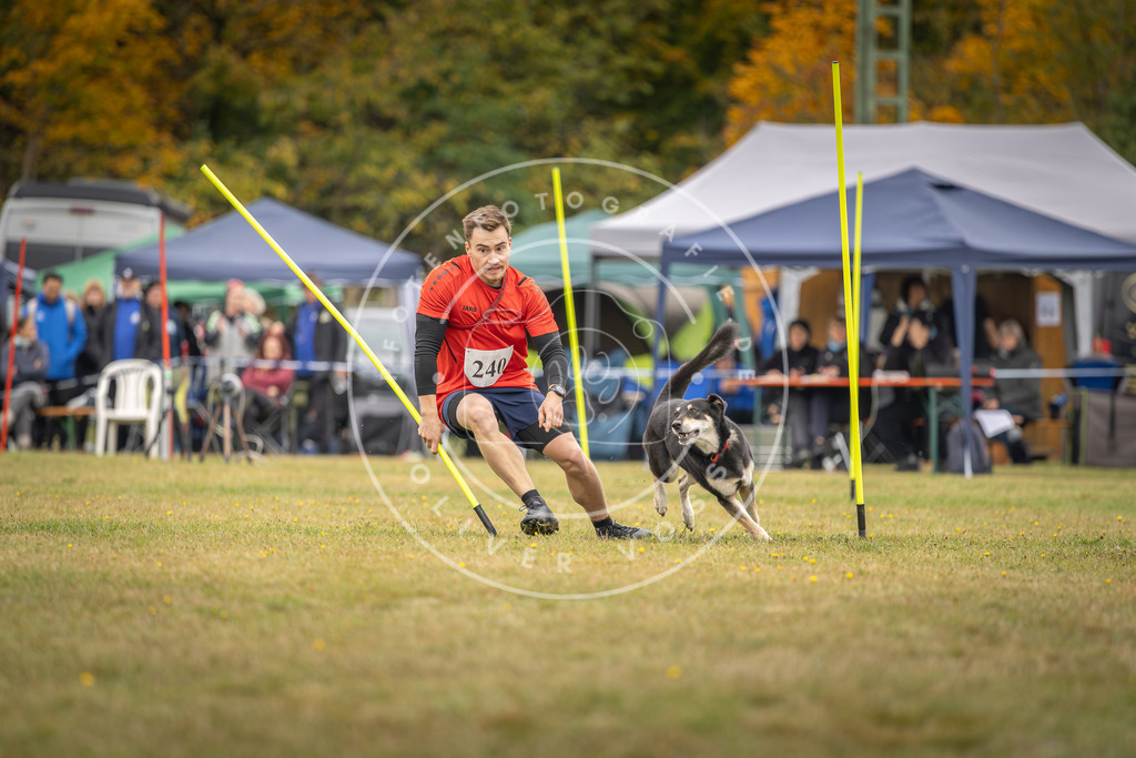 Pfotenfotografie_DV3A5406 | Hundefotografie, Tierfotograf, Pfotenfotografie, Fotoshooting Hund, Hunde Portrait, Hundesport, Hundeportraits, Heideshooting, Hunde, Sportfotograf, Hundefotograf, Turnierhundsport, THS,  - Realisiert mit Pictrs.com