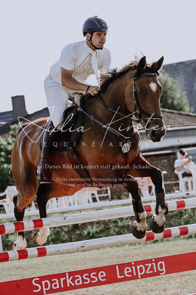 DSC_2727 | Pferde- und Turnierfotografie in Westsachsen. Pferdeportraits, Auftragszeichnungen und intuitive Kunst.