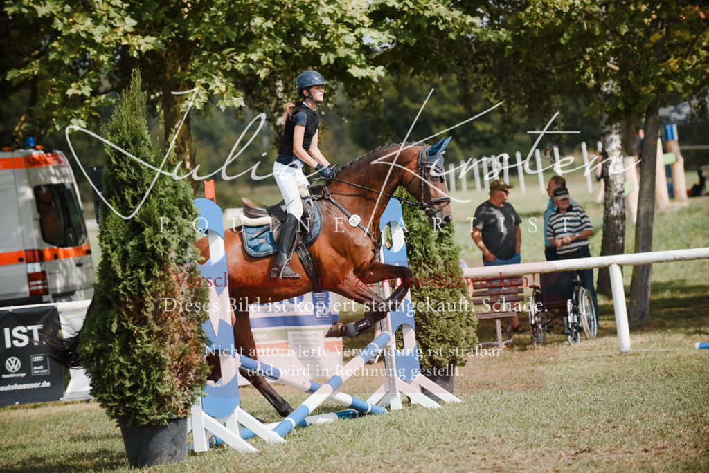 DSC_5517 | Pferde- und Turnierfotografie in Westsachsen. Pferdeportraits, Auftragszeichnungen und intuitive Kunst.